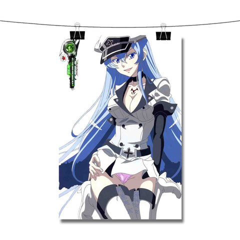 Akame Ga KILL Blue Esdeath Sexy Pose Poster Wall Decor