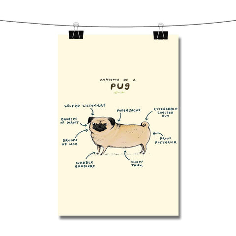 Anatomy of a Pug Poster Wall Decor