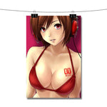 Anime Meiko Vocaloid Poster Wall Decor