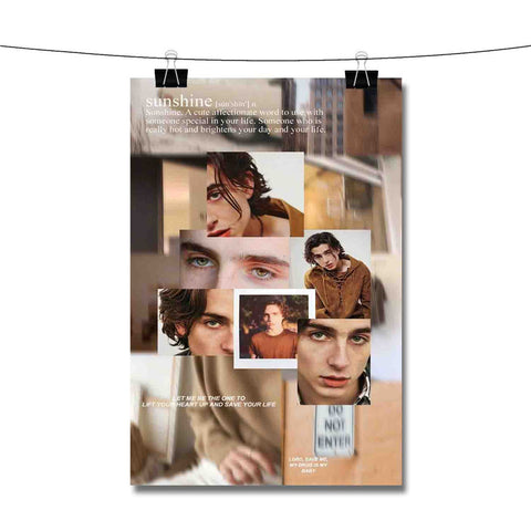 Timoth e Chalamet Poster Wall Decor